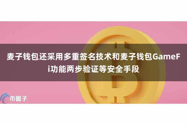 麦子钱包还采用多重签名技术和麦子钱包GameFi功能两步验证等安全手段