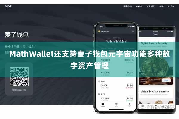 MathWallet还支持麦子钱包元宇宙功能多种数字资产管理